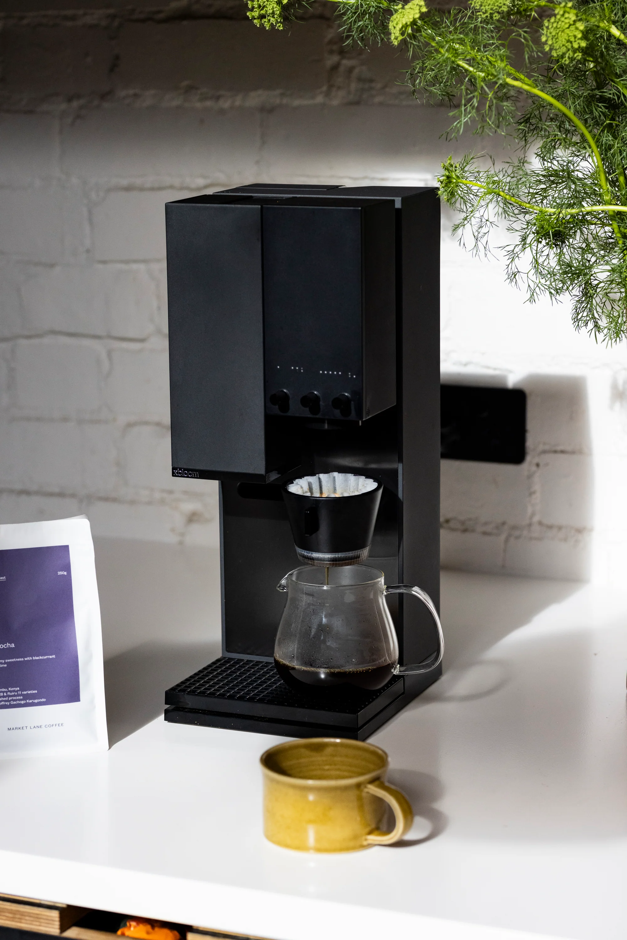 xBloom Studio - Image 8